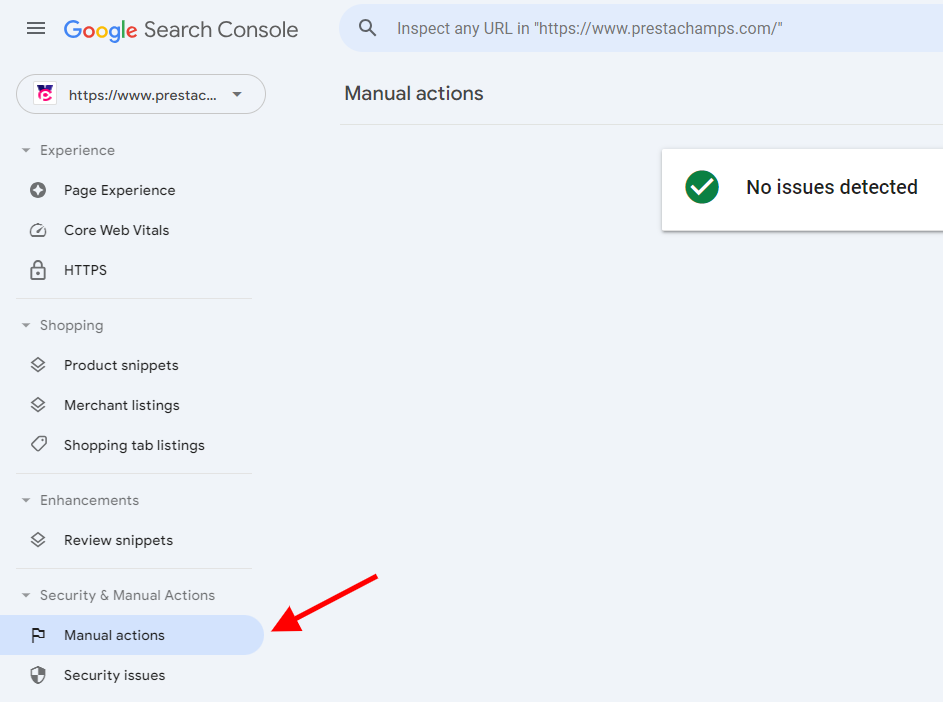Pagina de acțiuni manuale Google Search Console nu prezintă probleme.