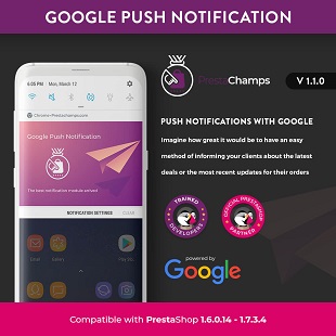 Google Push Notification